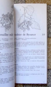 Promenade des Bastions. Guide dendrologique. 