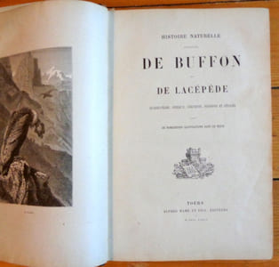 Histoire naturelle. Quadrupèdes, oiseaux, serpents, poissons et cétacés.