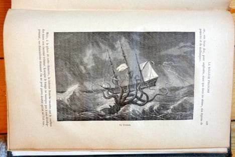Histoire naturelle. Quadrupèdes, oiseaux, serpents, poissons et cétacés. . Buffon et de Lacépède: