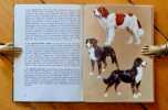 Nos amis les chiens. . Leimgruber F.: 