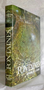 Fontaines, miroirs de la Suisse.