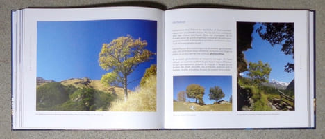 Evolène. Regard sur un paysage. . Bernhard Claude: