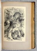 Image de livre
