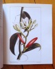 Une orchidée qu'on appela vanille. . Bouvier Nicolas: 