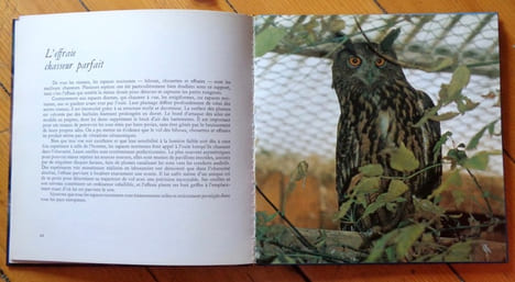 Bestiaire romand. . Schauenberg Paul, d'Ivernois Roger (phot.), Monnier Claude (avant-propos):
