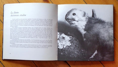 Bestiaire romand. . Schauenberg Paul, d'Ivernois Roger (phot.), Monnier Claude (avant-propos):