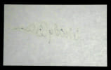 Woody Allen - Woody ALLEN - CARTE ORIGINALE AUTOGRAPHE SIGNÉE À LA MAIN