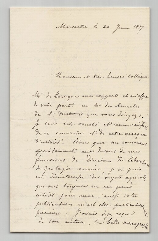 Antoine-Fortun&eacute; Marion Lettre autographe sign&eacute;e PHYLLOXERA Agriculture 1887 4p.. Antoine-Fortun&eacute; Marion