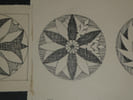 Rosaces - Dessin original sign&eacute; - Encre vers 1930. Louis Henri Laffill&eacute;e