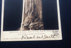 Maxime REAL DEL SARTE - CARTE POSTALE SIGN&Eacute;E. Maxime REAL DEL SARTE