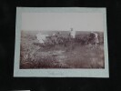 Ensemble de 6 photographies d'&eacute;poque Tunisie, Tunis, Sc&egrave;nes anim&eacute;es circa 1900. 