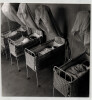 Grande photographie argentique Ann&eacute;es 60 Madagascar Nursery 20,9x21,9 cm. 