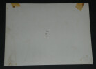 Jean-Edern HALLIER - Photographie Festival international du livre 23,9 x 18 cm. Jean-Edern HALLIER