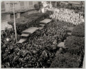 Photographie argentique de 1960 Guerre Alg&eacute;rie Semaine des Barricades. 