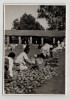 Photographie argentique Ann&eacute;es 60 Madagascar Le march&eacute; de Soavinandriana. 