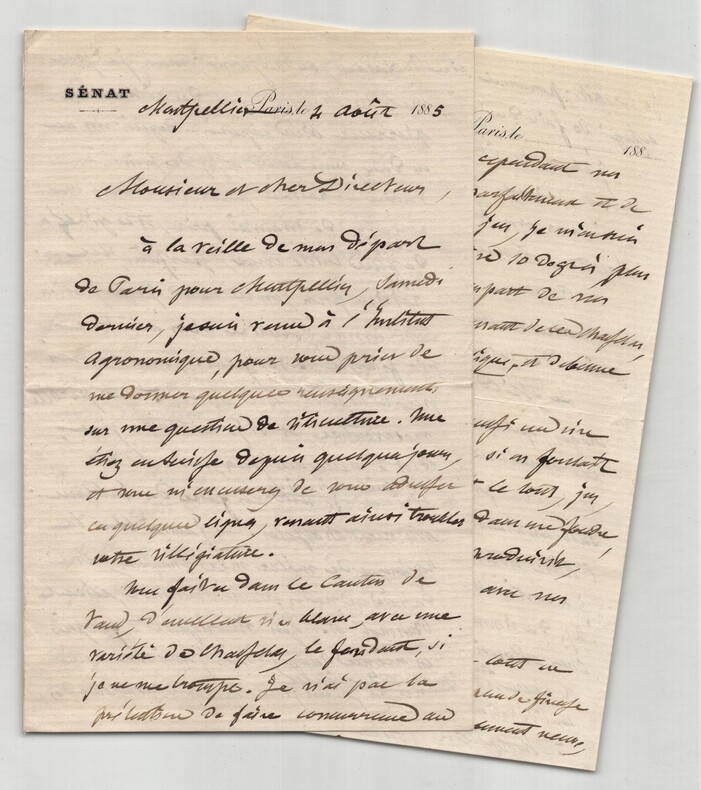 Gaston Bazille - Longue lettre autographe sign&eacute;e de 6 pages - 1885. Gaston Bazille