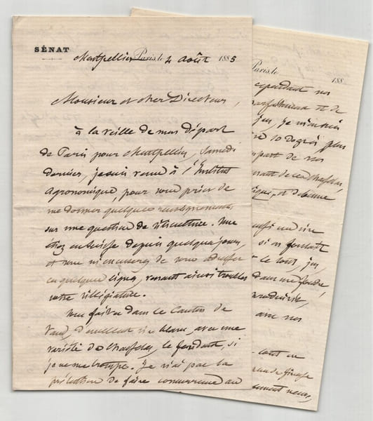 Gaston Bazille - Longue lettre autographe sign&eacute;e de 6 pages - 1885. Gaston Bazille