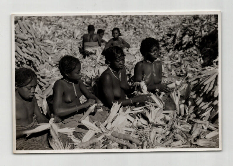 Photographie argentique Ann&eacute;es 60 Madagascar &Eacute;pluchage du ma&iuml;s. 