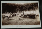 Ensemble de 8 photographies circa 1900 - Tunisie, sc&egrave;nes village anim&eacute;es costume. 