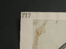 D&eacute;coration mutil&eacute;e d'un arcosolium — Dessin original sign&eacute;, encre vers 1930. Louis Henri Laffill&eacute;e