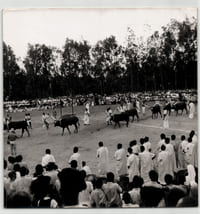 Photographie argentique de 1958 Rwanda Célébration avec Inyambo