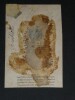 Louis Veuillot - Photographie Format cabinet 5.5 x8.5 cm. Louis Veuillot