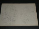 Dessin au crayon, fin XIX&egrave;me, Garret, d&eacute;corateurs, Vesoul , 2 Bouquets de fleurs. Garret