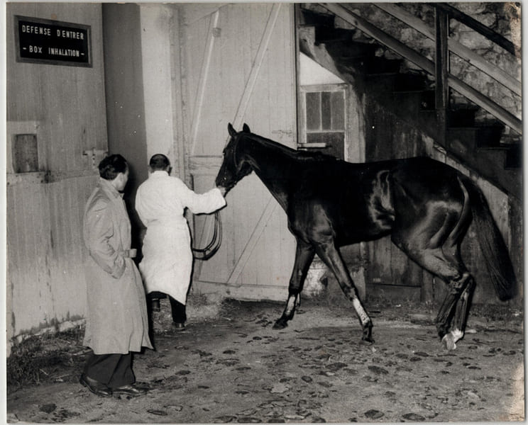 Photographie argentique ann&eacute;es 60 Derby Chevaux 25,6 x 20,9 cm. 