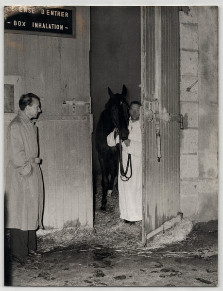 Photographie argentique ann&eacute;es 60 Derby Chevaux 20,5 x 26,8 cm. 