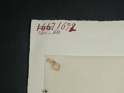 Louis Henri Laffillée - Dessin original signé - Ecusson - Encre vers 1930