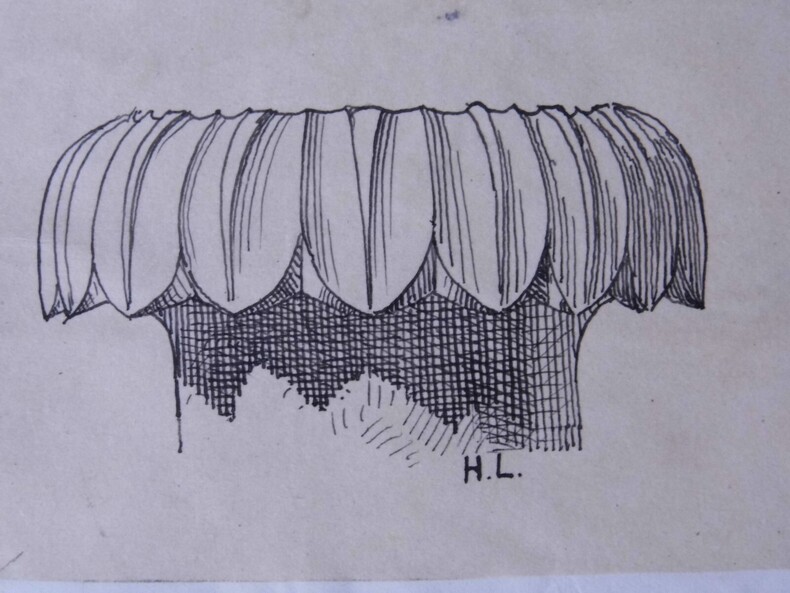 Chapiteau &eacute;olien et fragments &agrave; Aegae - Dessin original sign&eacute;. Louis Henri Laffill&eacute;e
