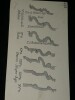 Dessin original sign&eacute; - &Eacute;volution de la base attique - Architecture. Louis Henri Laffill&eacute;e