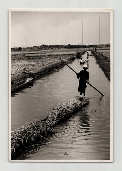 Photographie argentique Ann&eacute;es 60 Madagascar Rizi&egrave;res et travaux agricoles. 