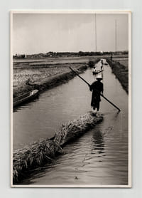 Photographie argentique Années 60 Madagascar Rizières et travaux agricoles