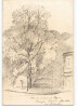 Dessin au crayon, Parc du restaurant Doyen Champs-&Eacute;lys&eacute;es par E. Phelipeau 1914. E. Phelipeau