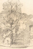 Dessin au crayon, Parc du restaurant Doyen Champs-&Eacute;lys&eacute;es par E. Phelipeau 1914. E. Phelipeau