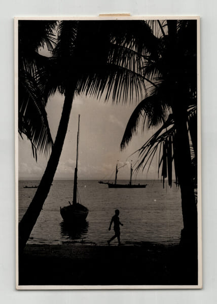 Photographie argentique Ann&eacute;es 60 Madagascar Paysage c&ocirc;te Est. 