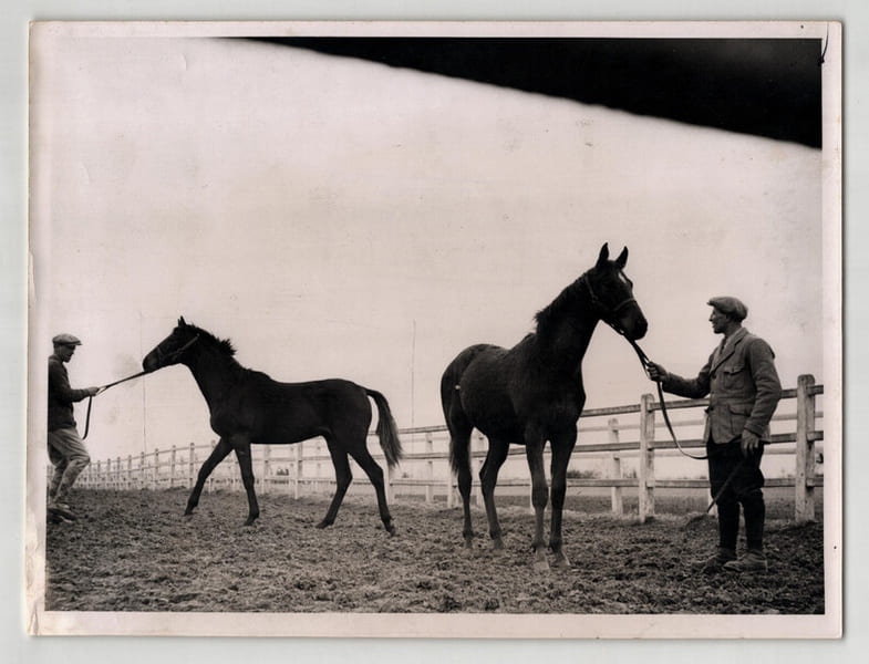 Photographie argentique ann&eacute;es 60 Derby Chevaux 23,9 x 18,2 cm. 