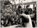 Photographie argentique 1960 Alg&eacute;rie Femme prenant des nouvelles de son mari. 