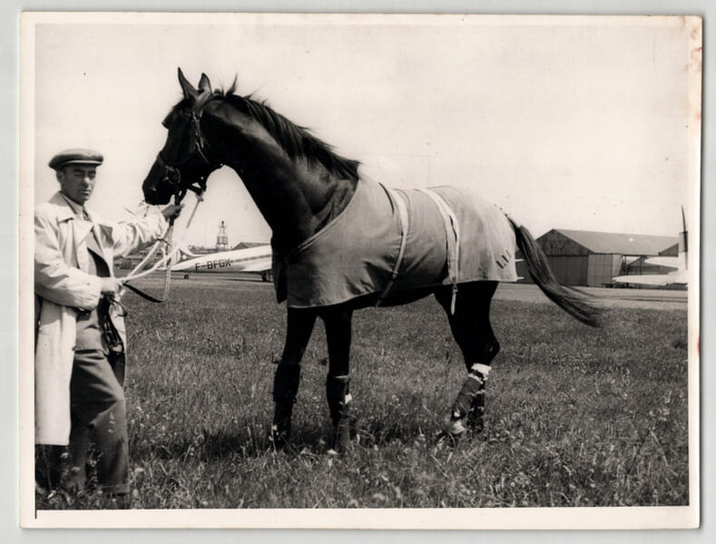 Photographie argentique ann&eacute;es 60 Derby Chevaux 23,9 x 18,2 cm. 