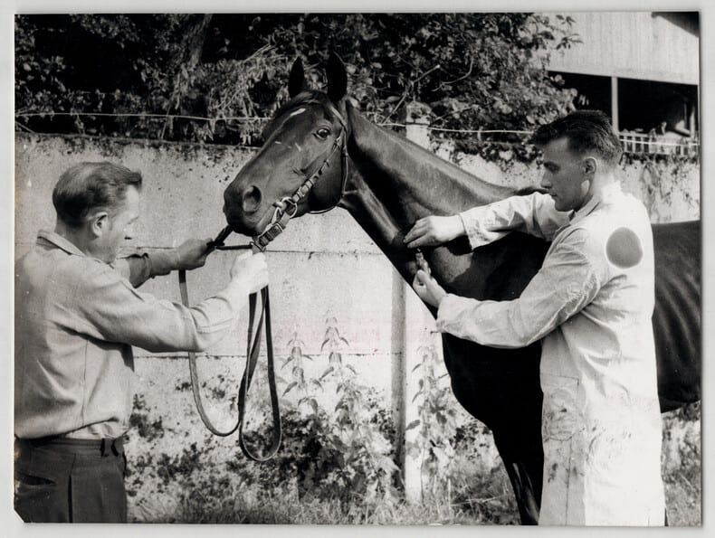 Photographie argentique ann&eacute;es 60 Derby Chevaux 26,6 x 19,9 cm. 