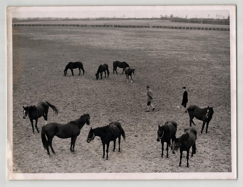 Photographie argentique ann&eacute;es 60 Derby Chevaux 24 x 18,2 cm. 