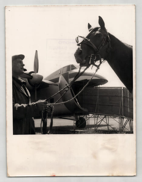Photographie argentique ann&eacute;es 60 Derby Chevaux avion 18,2 x 23,9 cm. 