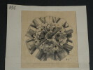 Dessin original sign&eacute; - Clefs de vo&ucirc;te de Caen et Troyes - Louis Henri Laffill&eacute;e - vers 1930. Louis Henri Laffill&eacute;e