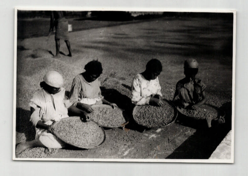 Photographie argentique Ann&eacute;es 60 Madagascar Triage du caf&eacute;. 