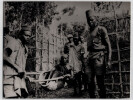 Photographie argentique de 1958 Rwanda Brancard tress&eacute;. 