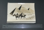 Photographie noir et Blanc d'&eacute;poque ann&eacute;es 70 STERN, Pyramides de Gizeh, Egypte. 