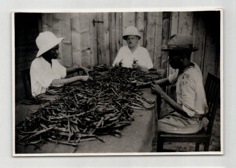 Photographie argentique Ann&eacute;es 60 Madagascar Triage des gousses. 