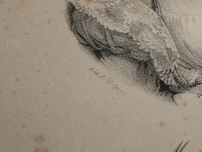 Gravure Marie-Amélie de Bourbon-Siciles Reine des Français, lithographie Delpech