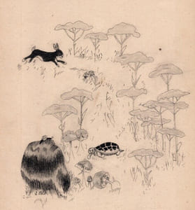 Dessin à l'encre illustration fable "Le lièvre et la tortue"